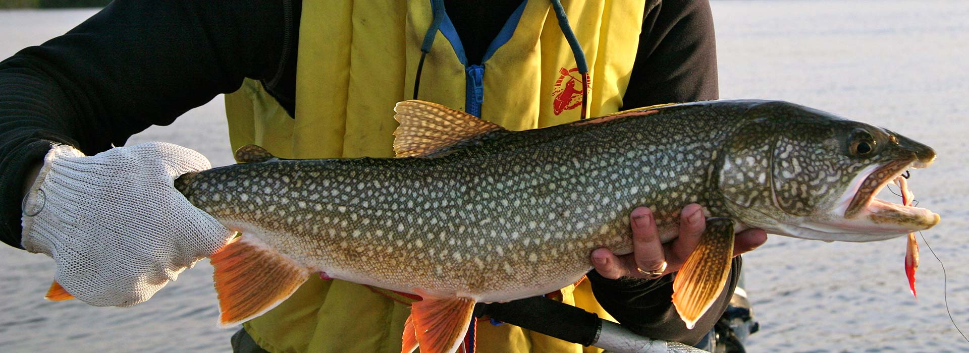 https://www.algomacountry.com/wp-content/uploads/2015/12/lake-trout-fishing1.jpg