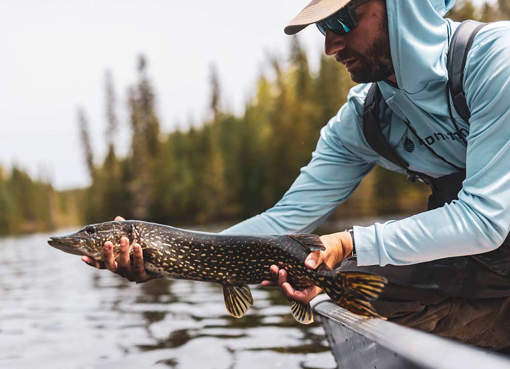 7 Essentials for Predator Fly Fishing - Algoma Country