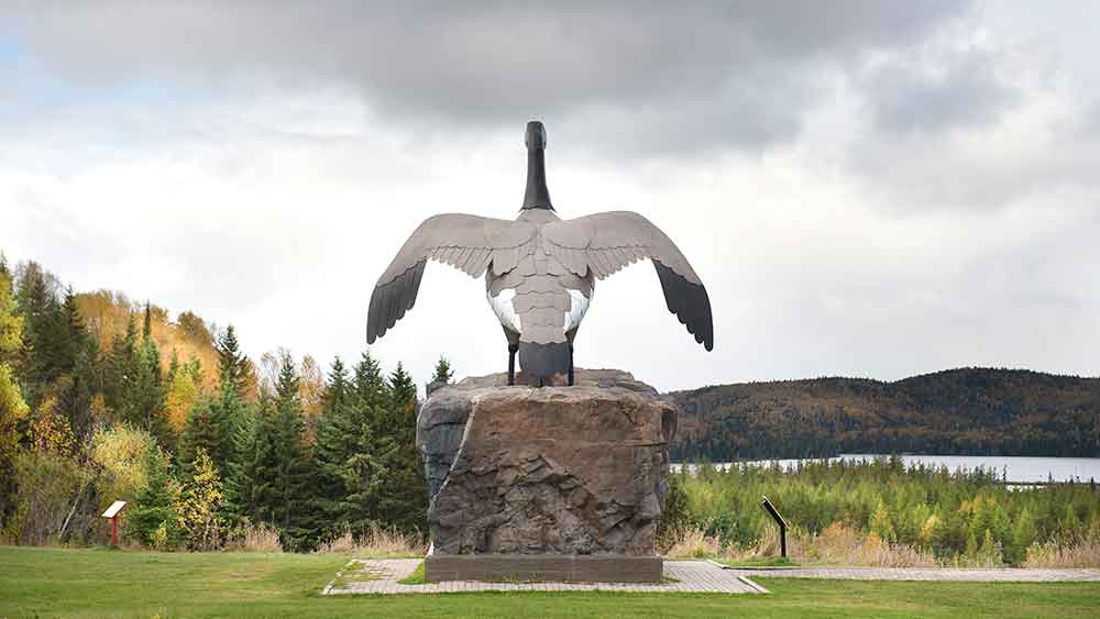 wawa goose monument on a fall road trip